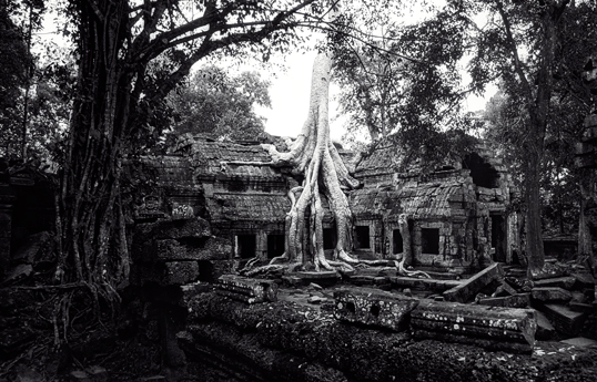 Link to image of Easternmost Gopura of Ta Prohm I, 1993, Ta Prohm, Siem Reap