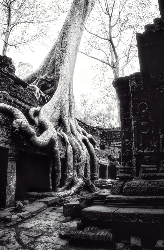 Link to image of Central Sanctuary of Ta Prohm I, 1993, Siem Reap