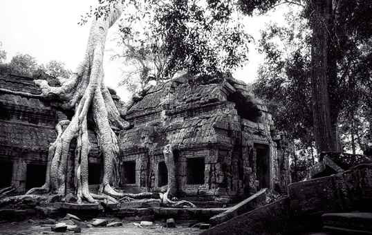 Link to image of Easternmost Gopura of Ta Prohm II, 1993, Ta Prohm, Siem Reap