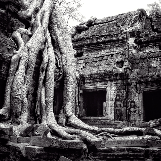 Link to image of Easternmost Gopura of Ta Prohm III, 1993, Ta Prohm, Siem Reap