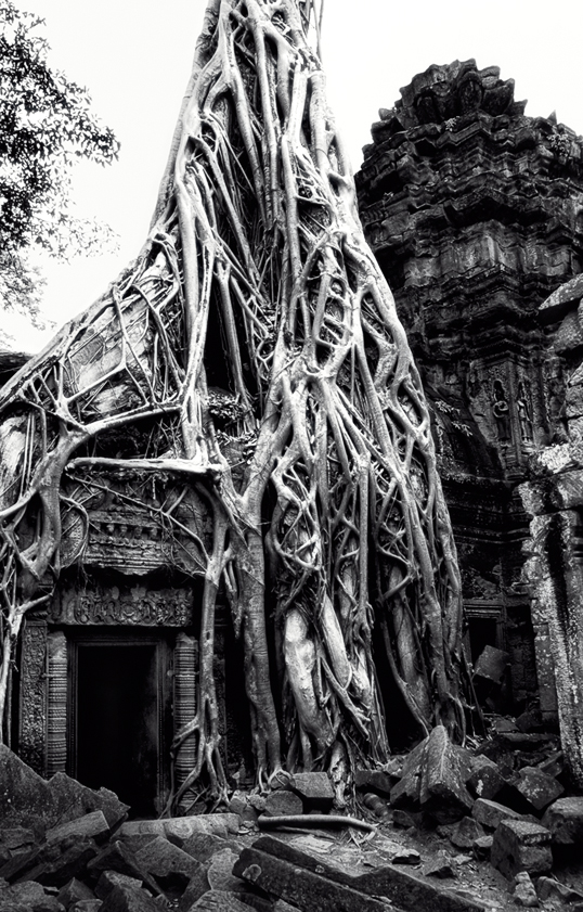 Link to image of Inner Sanctuary Tree and Door, 1993, Ta Prohm, Siem Reap