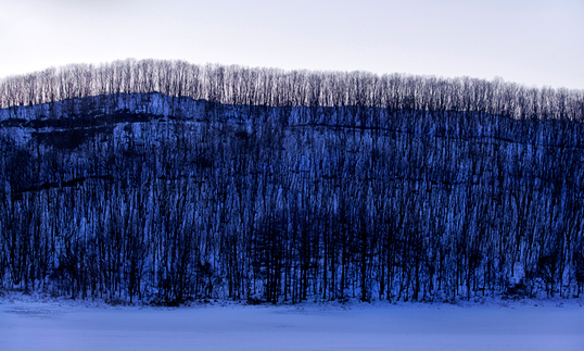 Winter Landscape of Trees Triptych 2