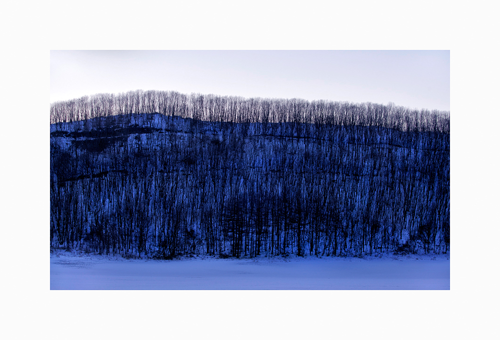 Link to Winter Landscape of Trees Triptych II image