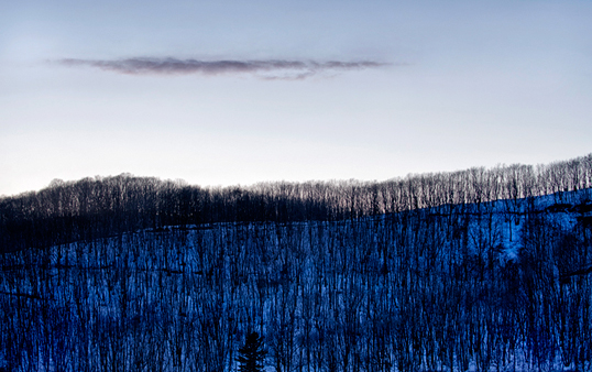 Winter Landscape of Trees Triptych 1