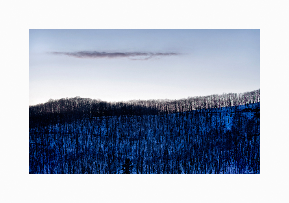 Link to Winter Landscape of Trees Triptych I image