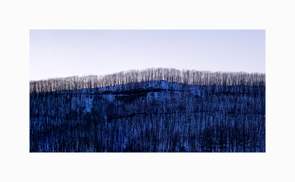 Link to Winter Landscape of Trees Triptych III image
