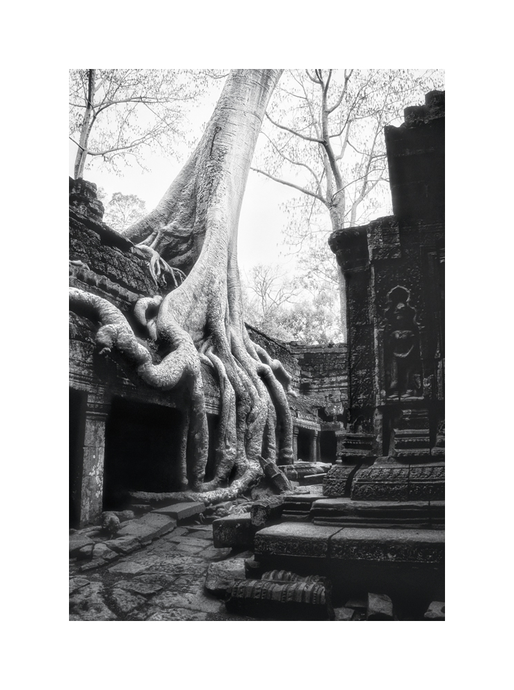 Fine art black and white image of Central Sanctuary of Ta Prohm I, 1993, Siem Reap