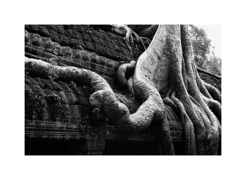 Fine art black and white image of Central Sanctuary of Ta Prohm II, 1993, Siem Reap
