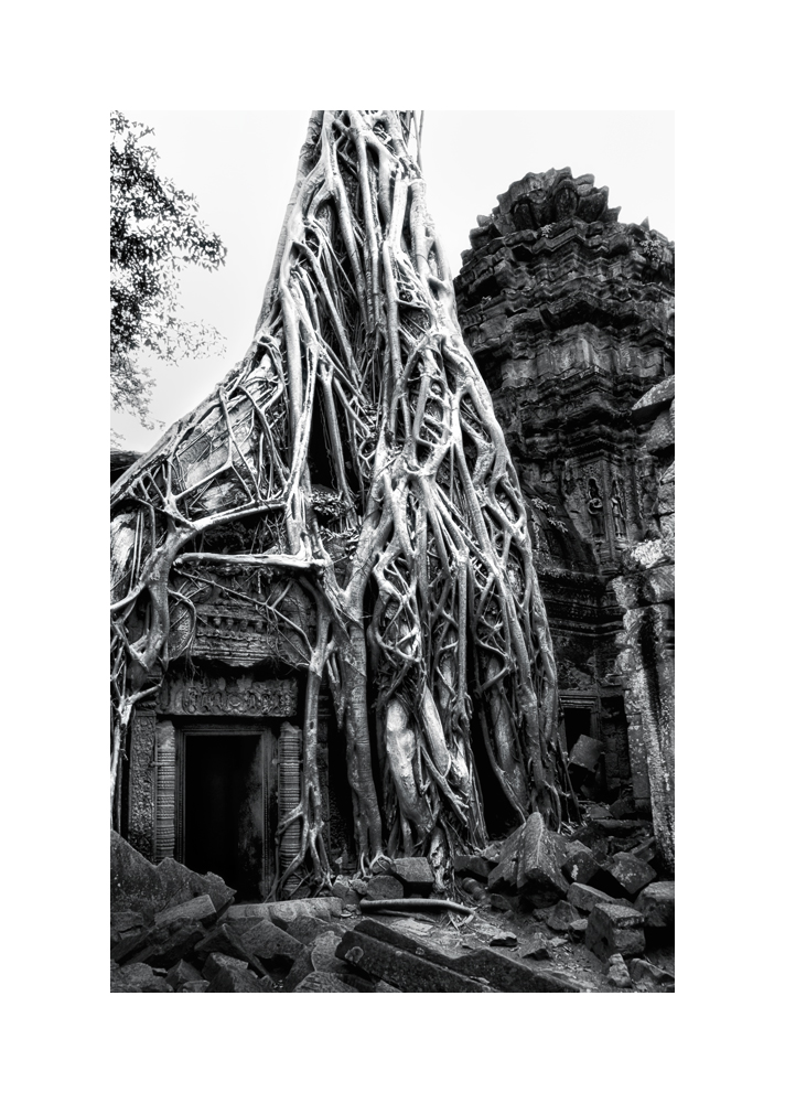 Fine art black and white image of Inner Sanctuary Tree and Door, Ta Prohm, 1993, Siem Reap